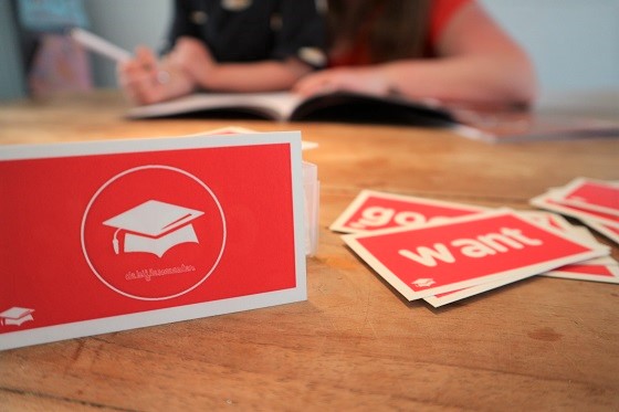 Spelenderwijs ondersteunen op de basisschool met de Bijlesmeester