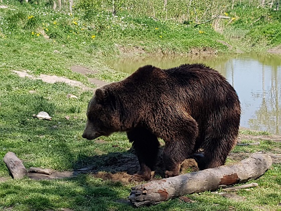 Beer Landgoed Hoenderdaell budget uitjes Noord Holland