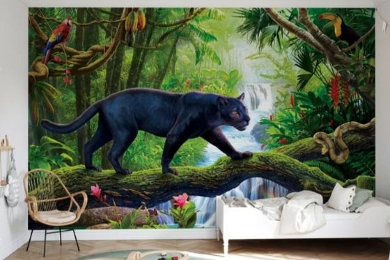 Photowall fotobehang kinderkamer